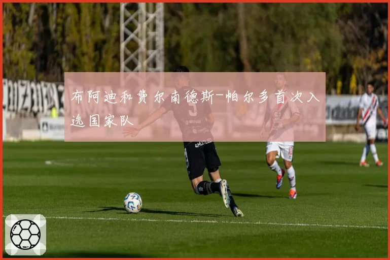 布阿迪和费尔南德斯-帕尔多首次入选国家队