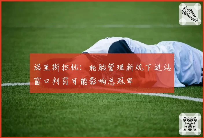 诺里斯担忧:轮胎管理新规下进站窗口判罚可能影响总冠军