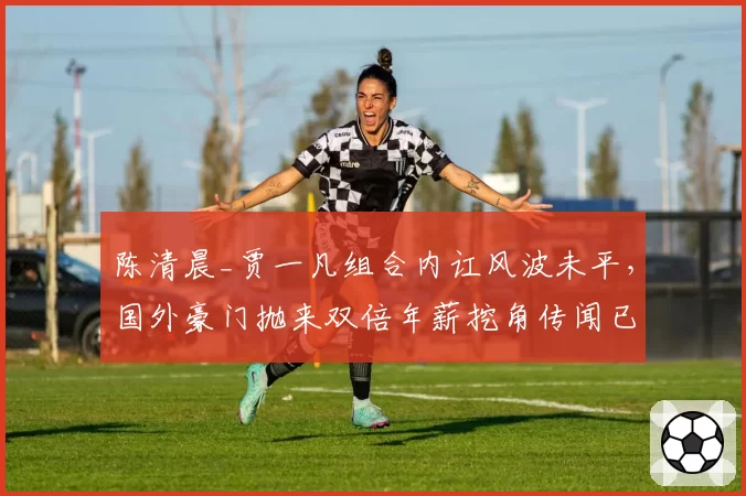 陈清晨_贾一凡组合内讧风波未平，国外豪门抛来双倍年薪挖角传闻已获内部证实？