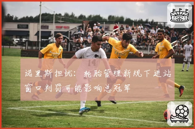 诺里斯担忧：轮胎管理新规下进站窗口判罚可能影响总冠军