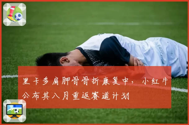 里卡多肩胛骨骨折康复中,小红牛公布其八月重返赛道计划