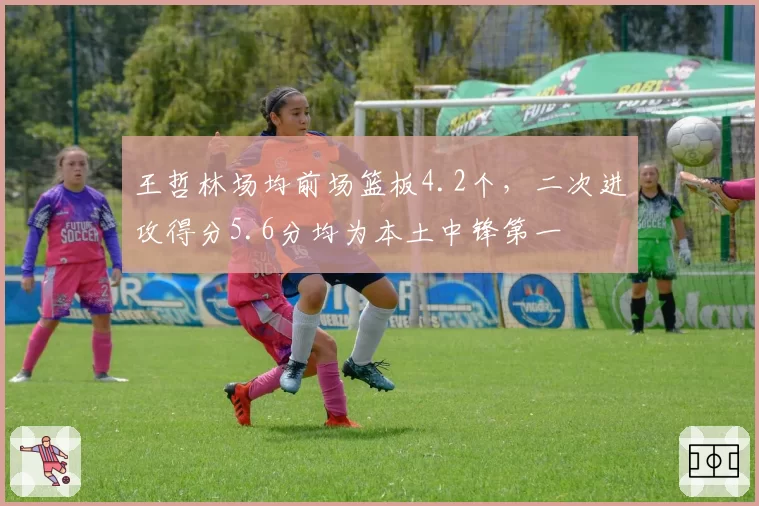 王哲林场均前场篮板4.2个,二次进攻得分5.6分均为本土中锋第一